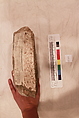 Stucco Fragment, Molded plaster (backed with baked brick); carved, painted